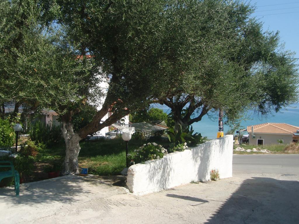Billy'S Amoudi Apartments Rum bild